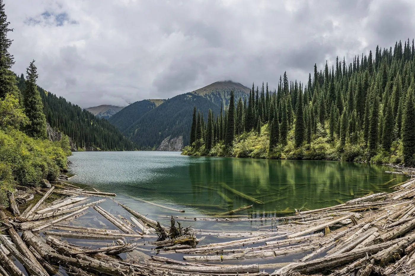 A mountain lake with fallen logs on the shore, ringed by spruce forest