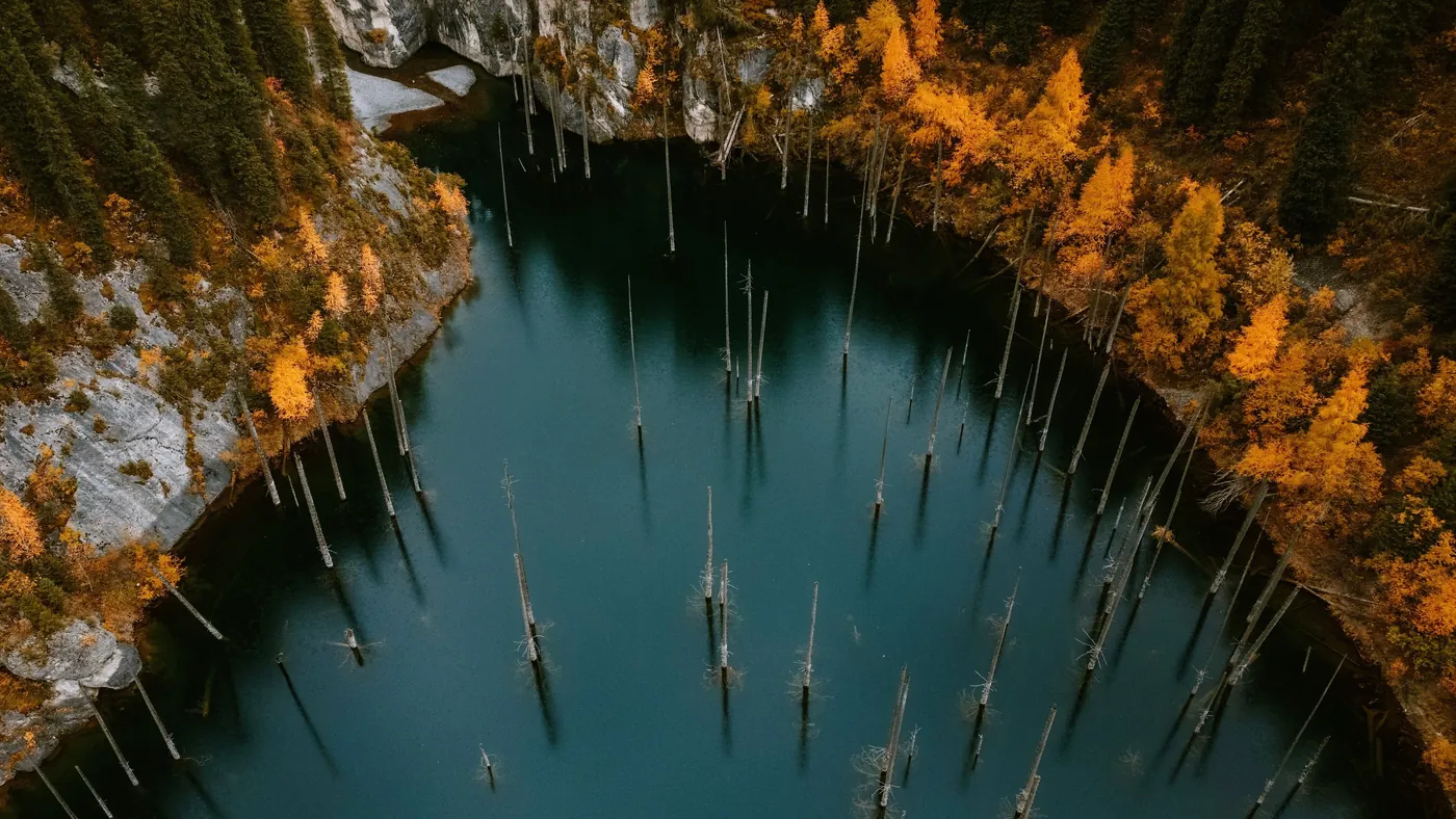 Kaindy Lake from above, with sunken spruce trunks and autumn trees