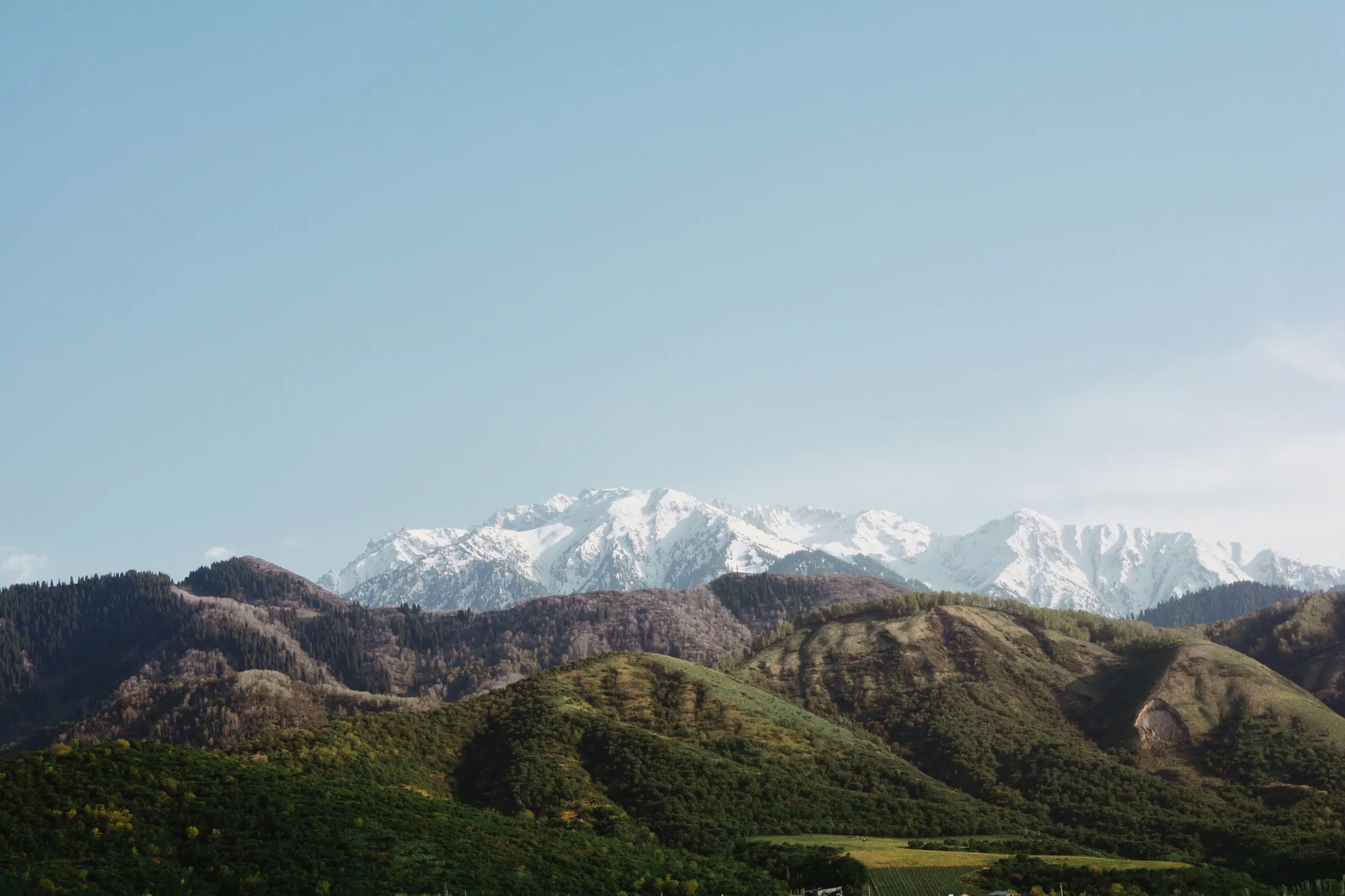Snowy peaks above green foothills