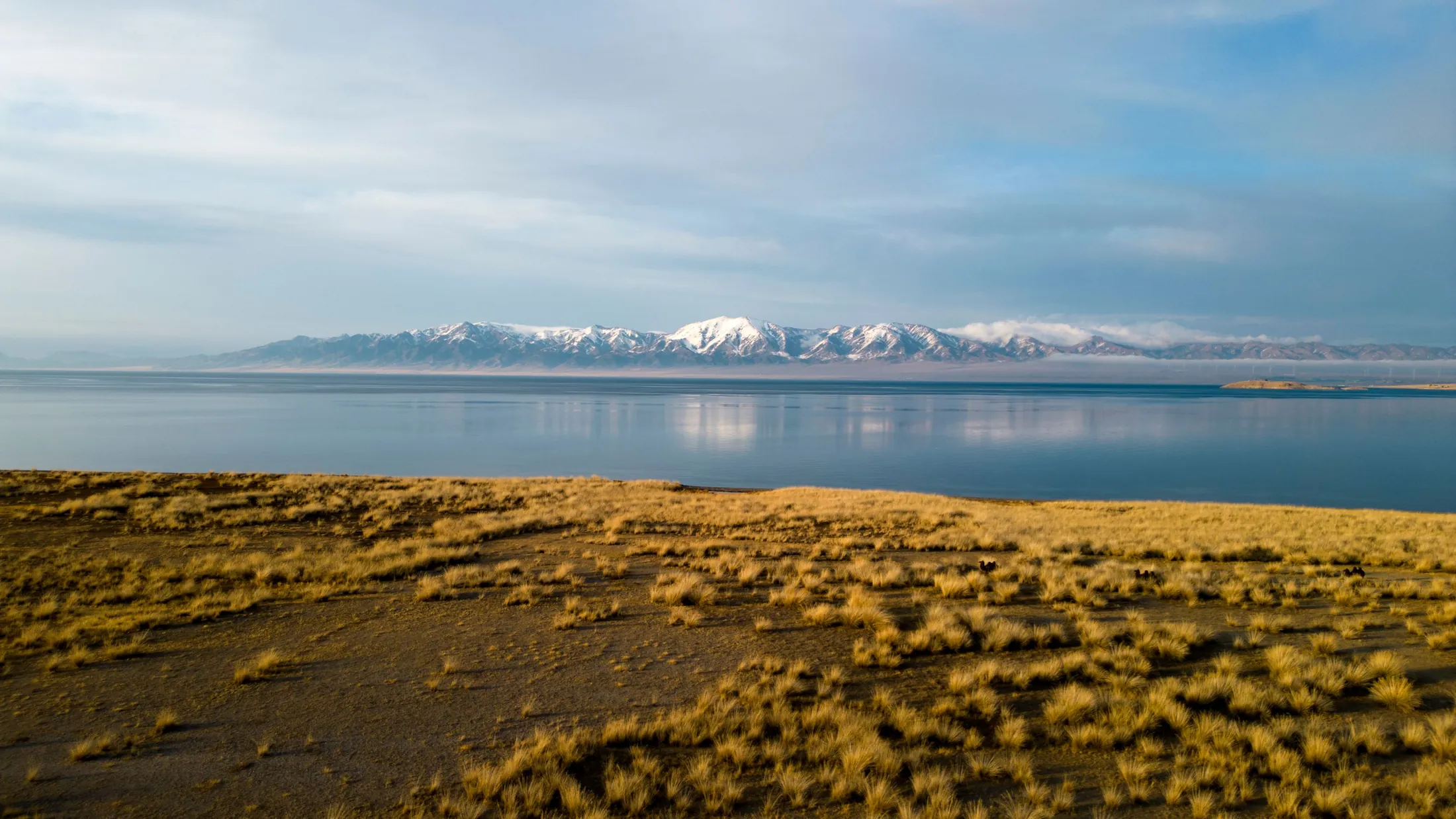 A wide lake with snowy mountains on the far shore and golden grass in front