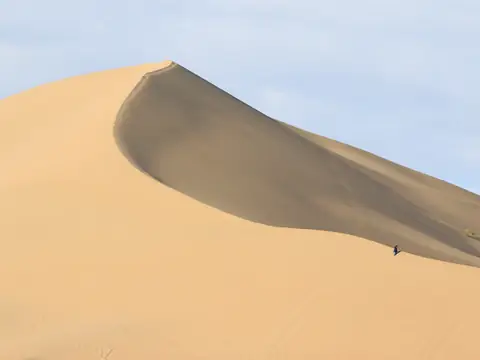 Singing Dune