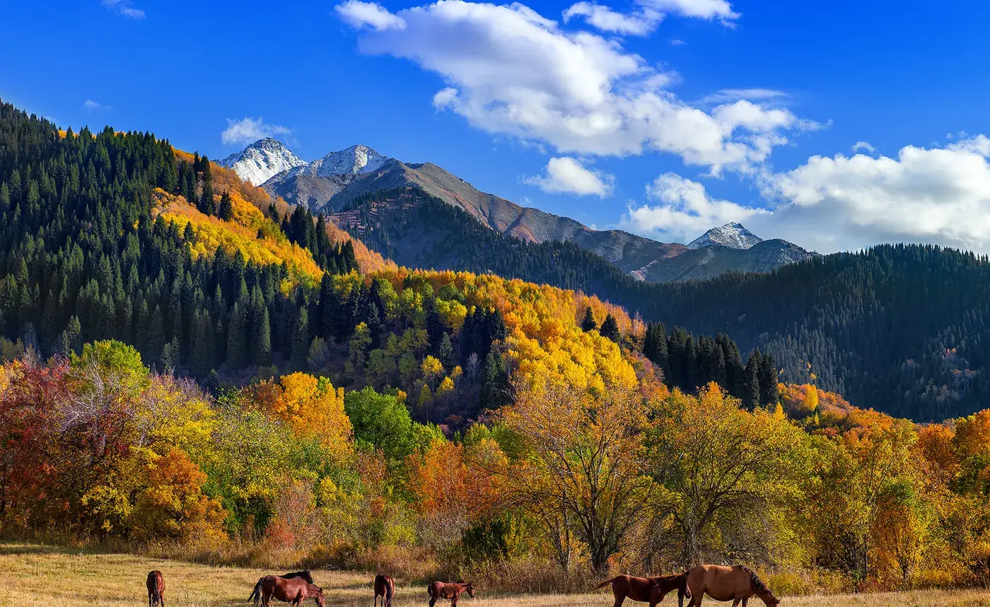 Horses grazing in an autumn valley below the mountains