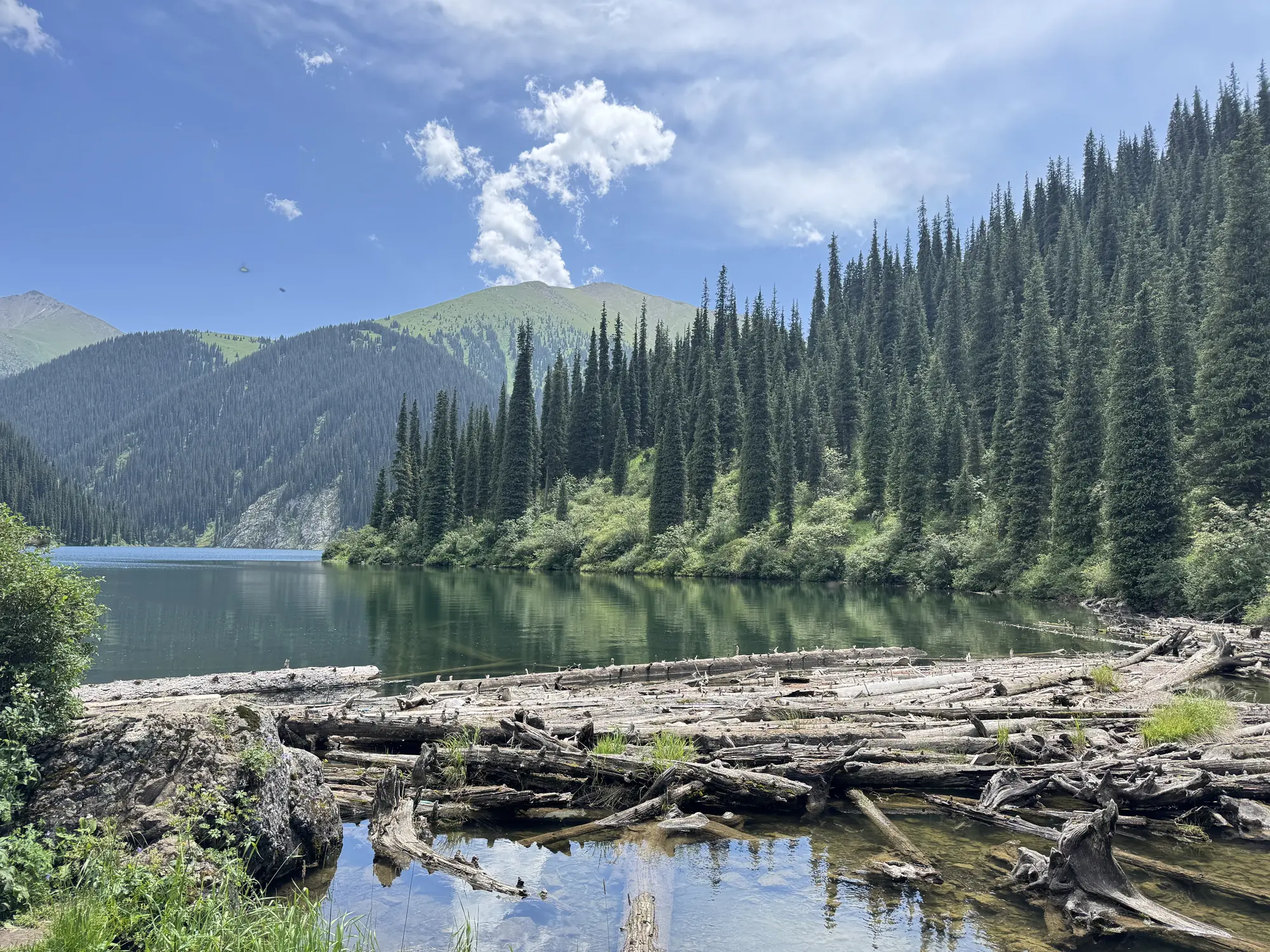 Driftwood at Kolsai Lake
