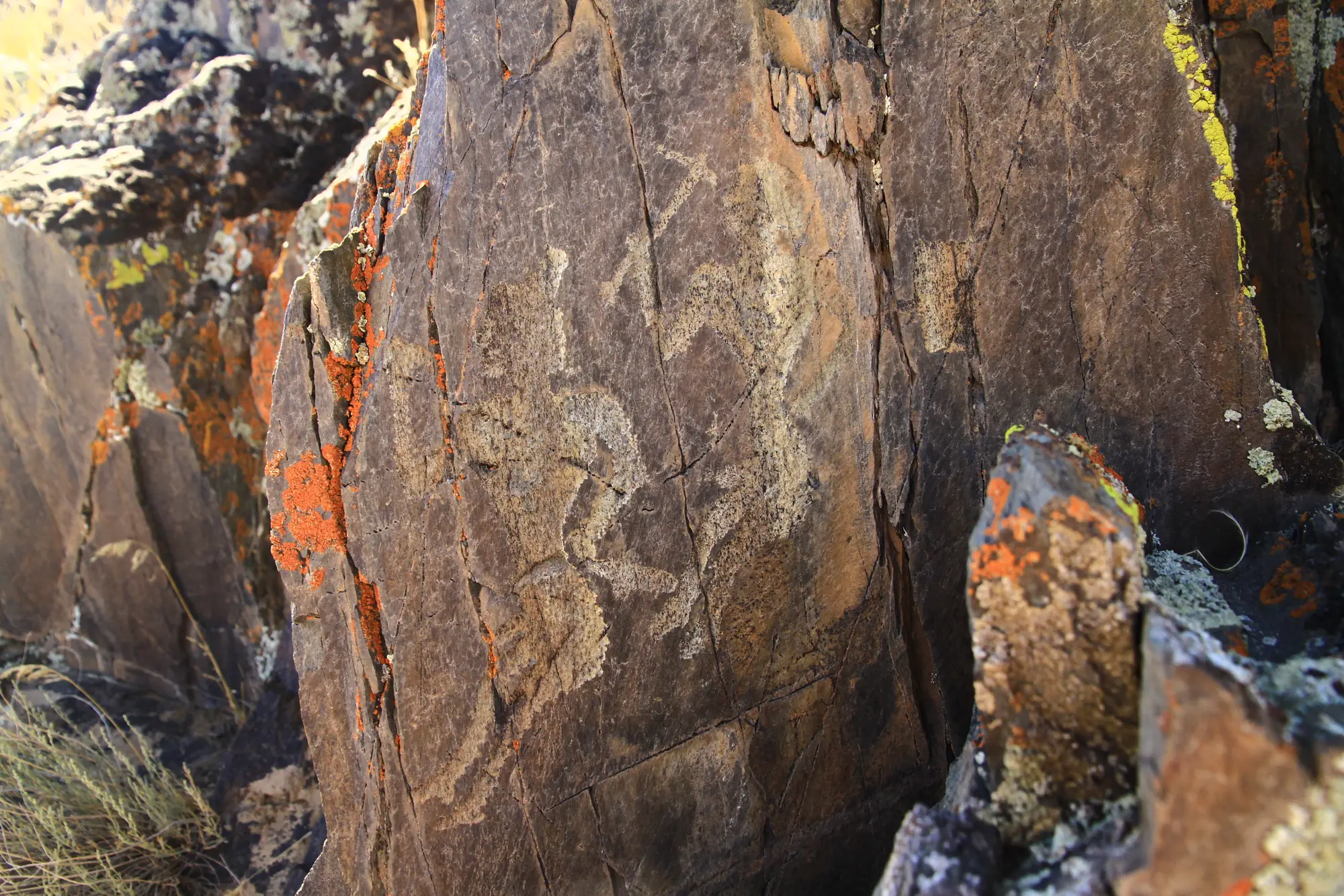 Petroglyphs on dark rock
