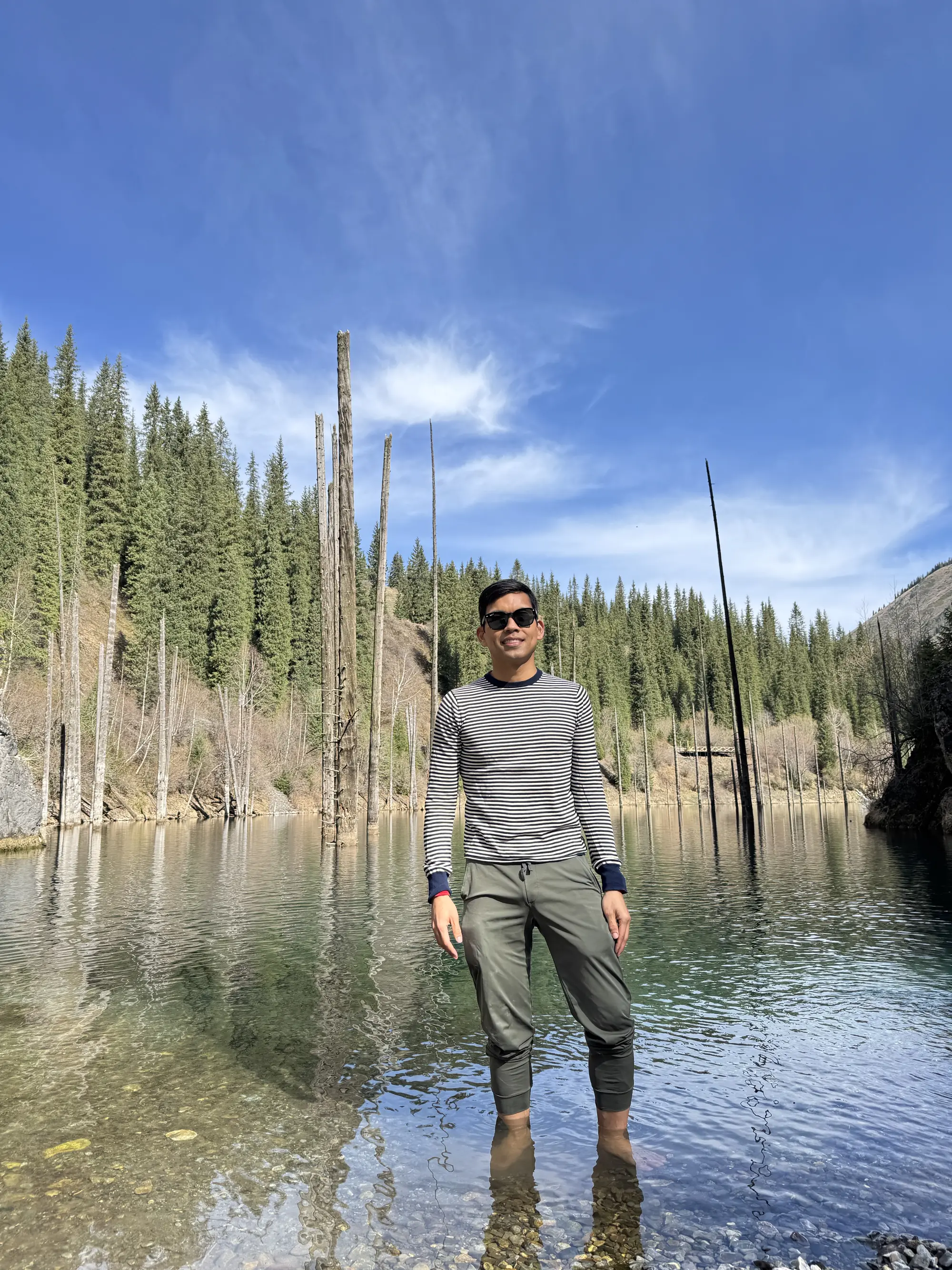 Wading among the Kaindy trunks