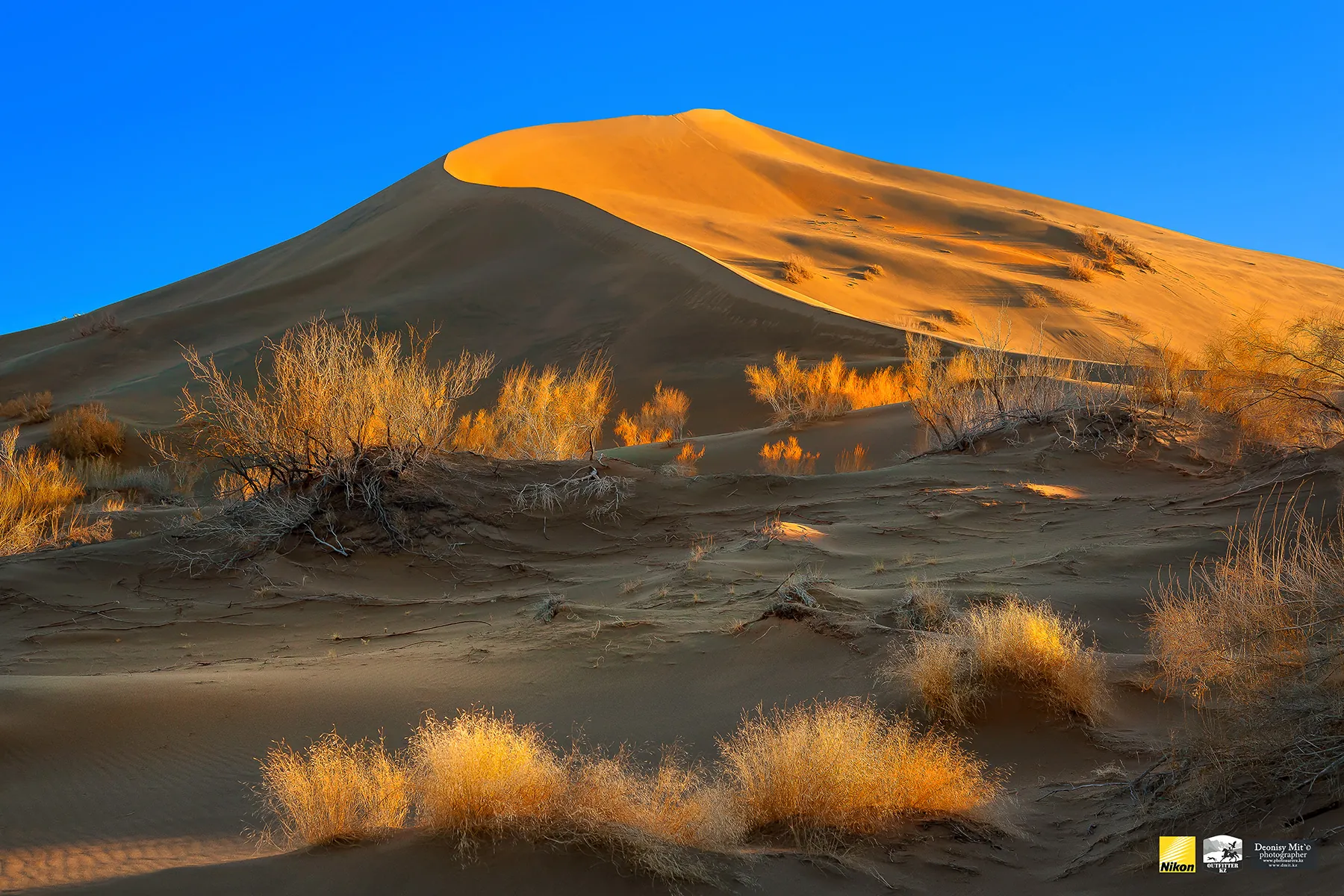 The Singing Dune in evening light