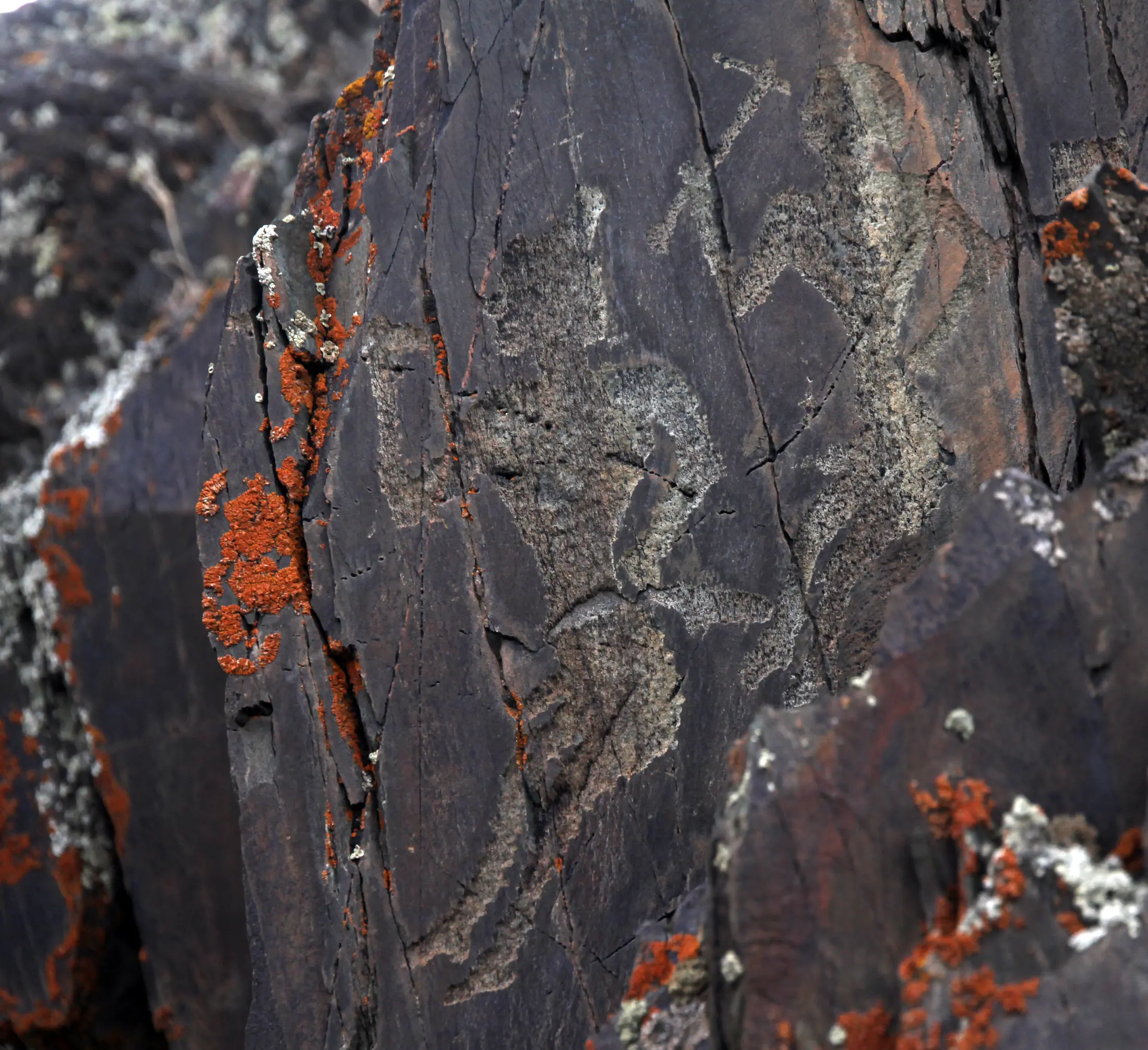Tanbaly Petroglyphs